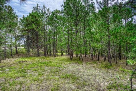00 Club Drive Colorado Springs CO 80908