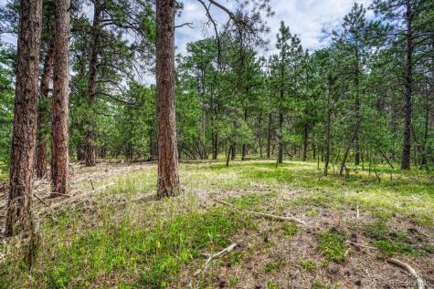 00 Club Drive Colorado Springs CO 80908
