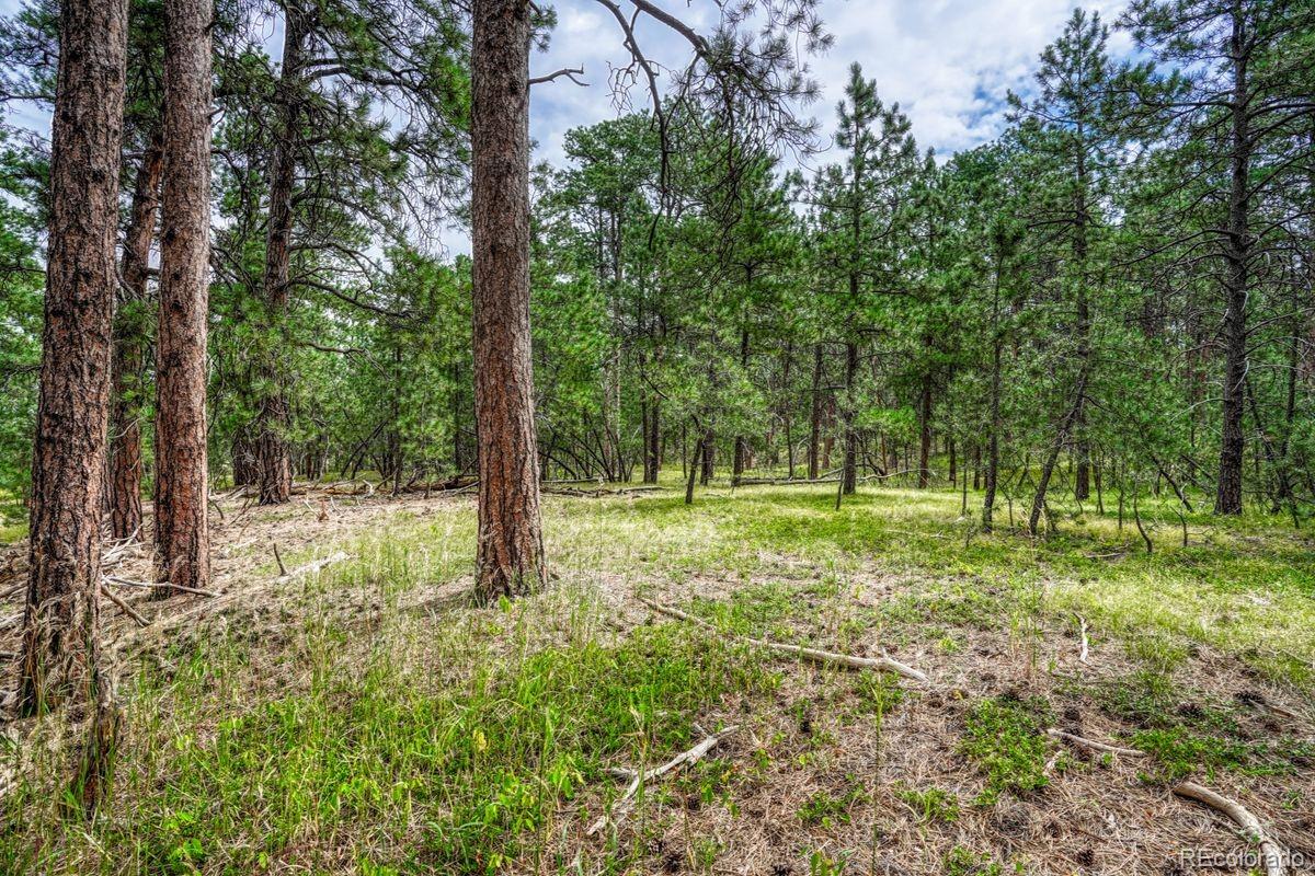00 Club Drive Colorado Springs CO 80908