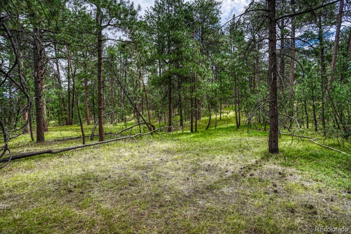 00 Club Drive Colorado Springs CO 80908
