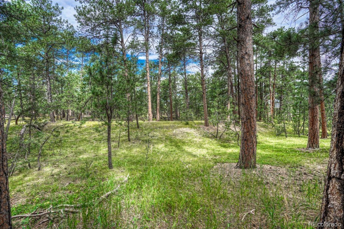 00 Club Drive Colorado Springs CO 80908