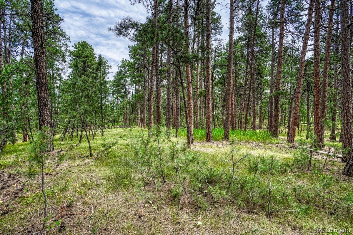 00 Club Drive Colorado Springs CO 80908