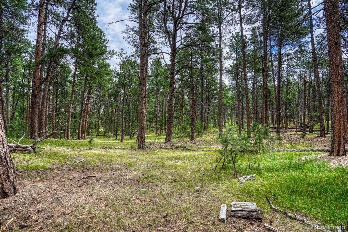 00 Club Drive Colorado Springs CO 80908