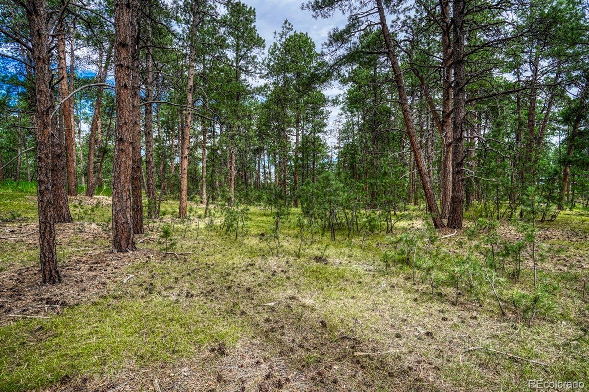 00 Club Drive Colorado Springs CO 80908
