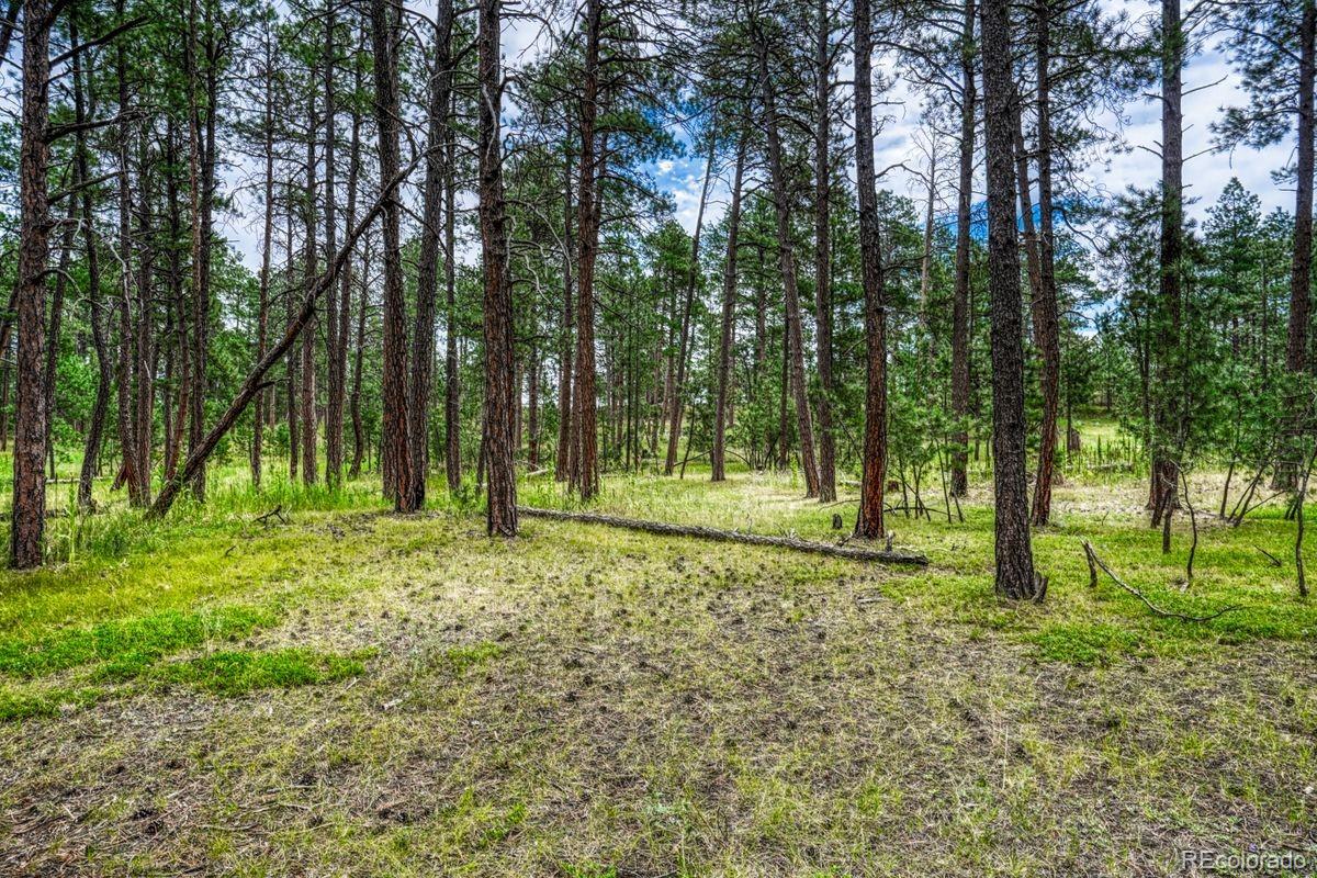 00 Club Drive Colorado Springs CO 80908