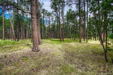 00 Club Drive Colorado Springs CO 80908