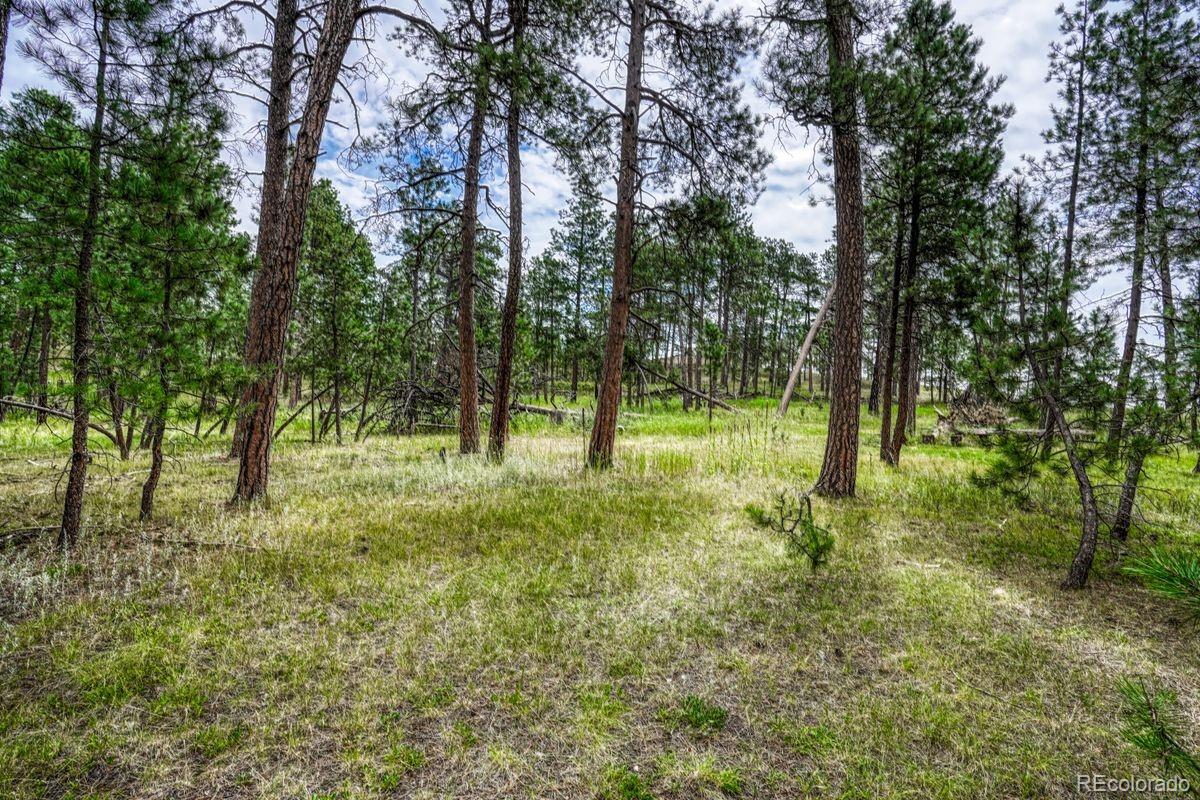 00 Club Drive Colorado Springs CO 80908