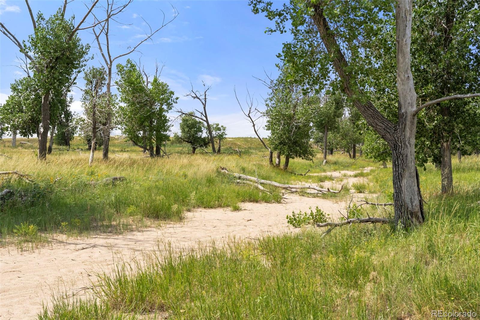 0 Resolis Road Matheson CO 80830