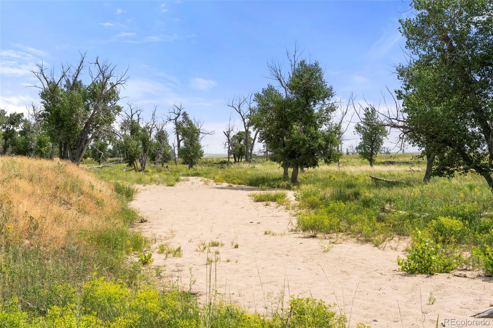 0 Resolis Road Matheson CO 80830