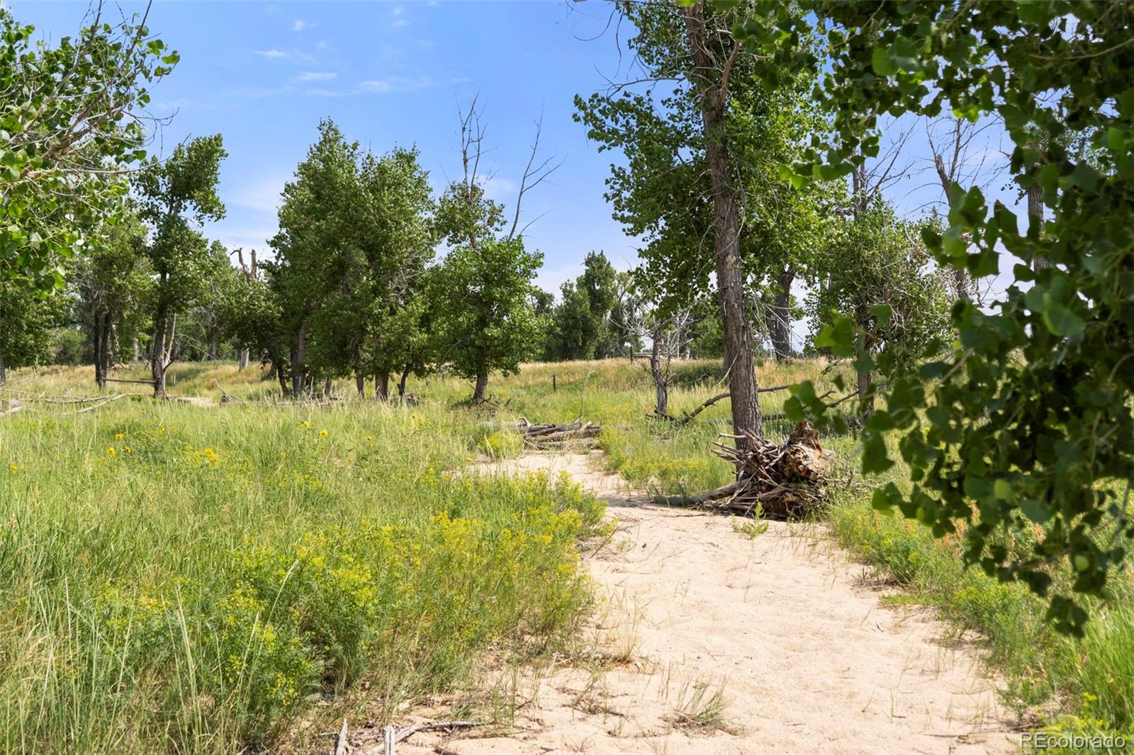 0 Resolis Road Matheson CO 80830