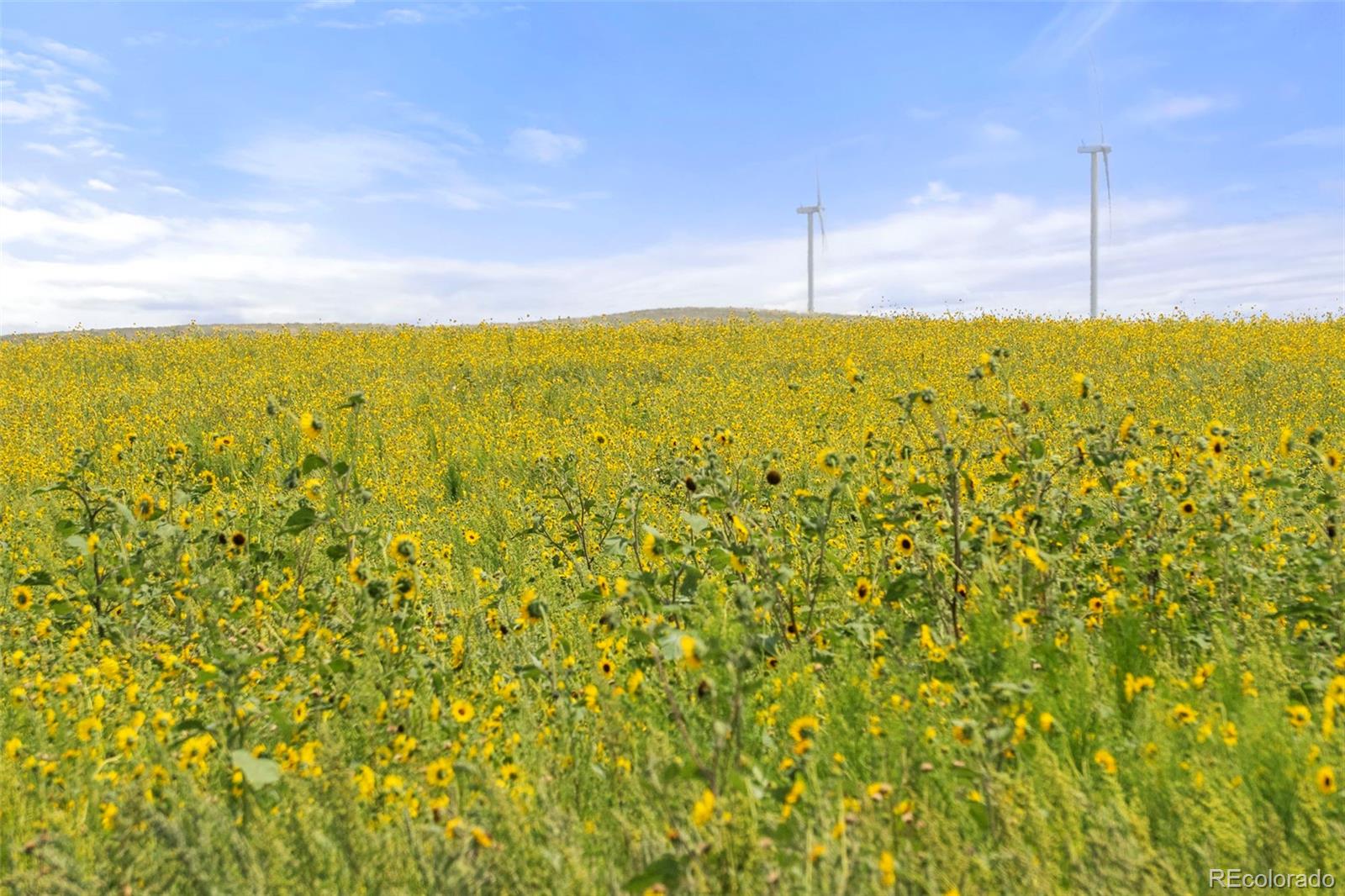 0 Resolis Road Matheson CO 80830