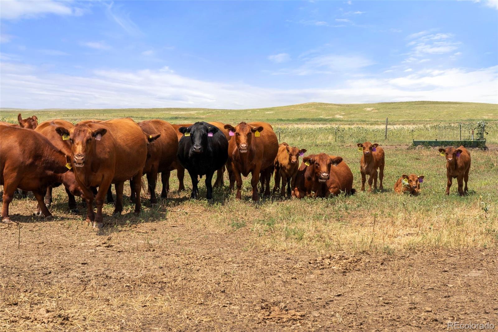 0 Resolis Road Matheson CO 80830