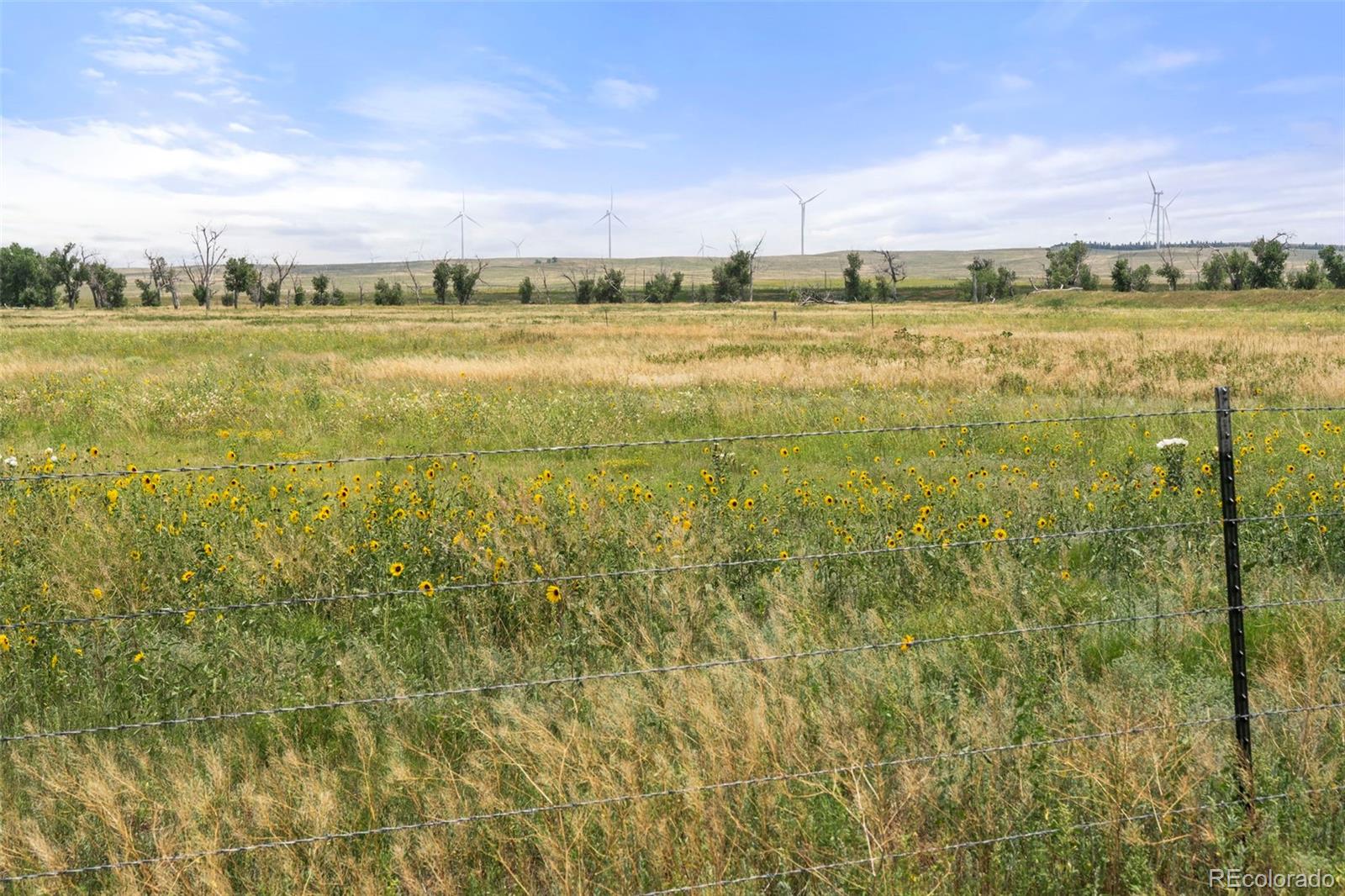 0 Resolis Road Matheson CO 80830