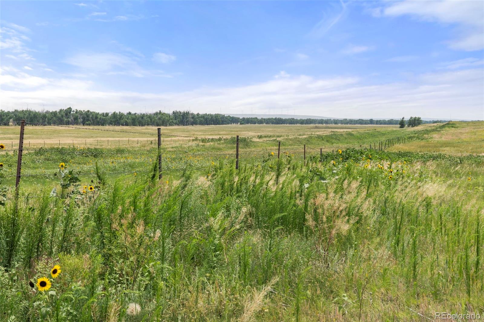 0 Resolis Road Matheson CO 80830