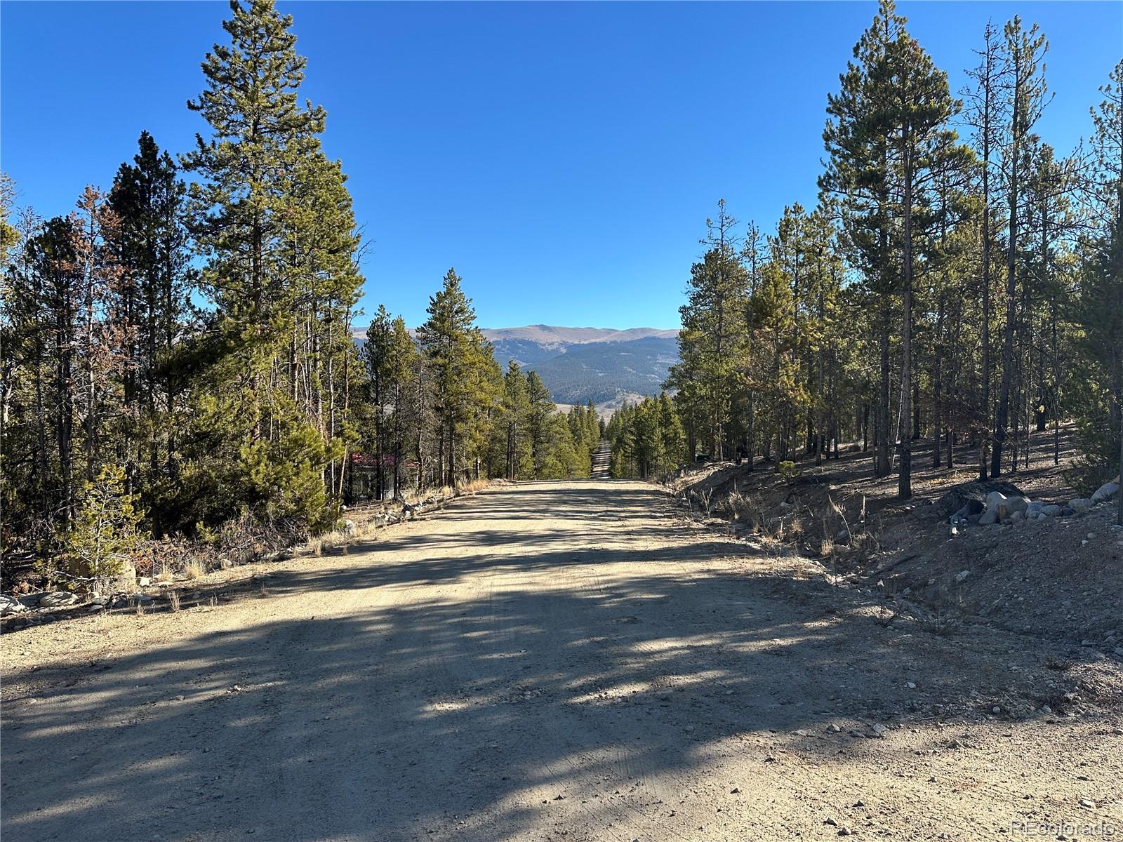 48 Lodgepole Drive Leadville CO 80461