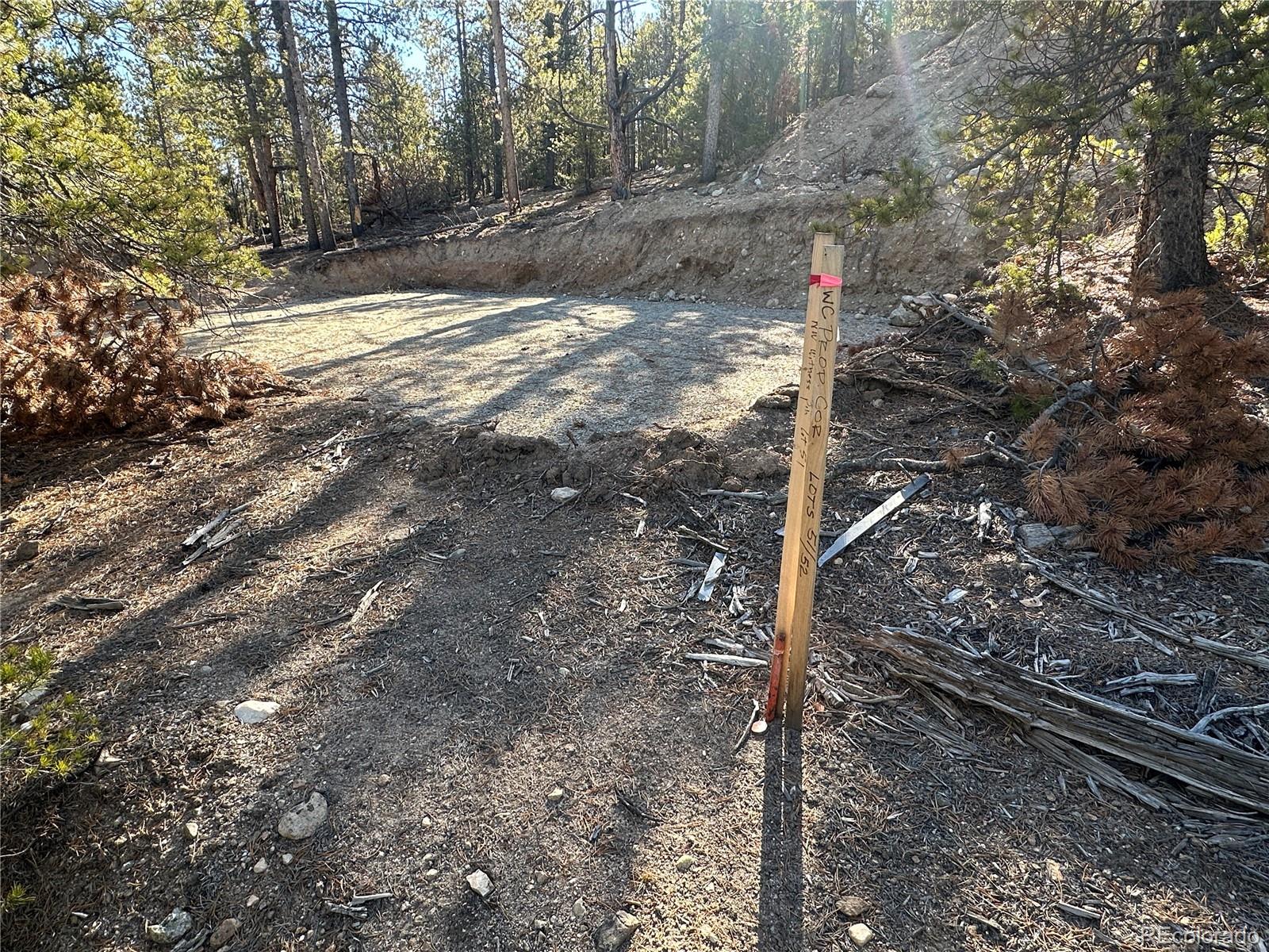 48 Lodgepole Drive Leadville CO 80461