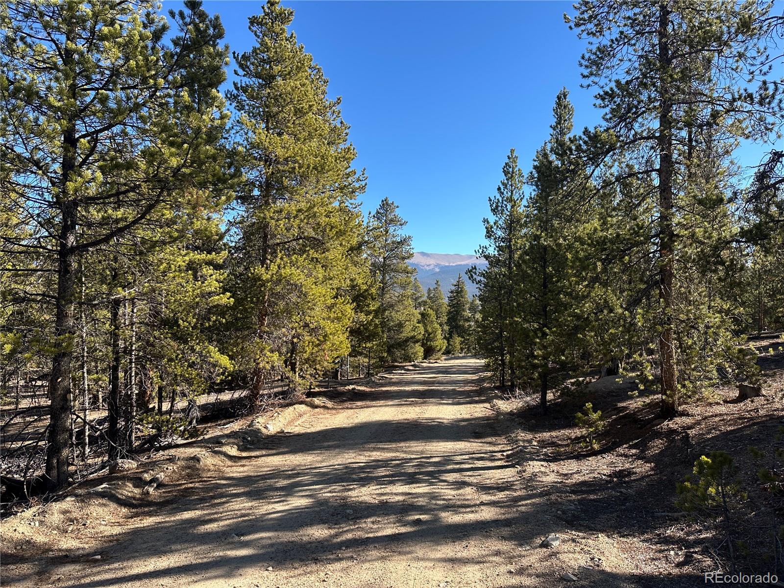 48 Lodgepole Drive Leadville CO 80461