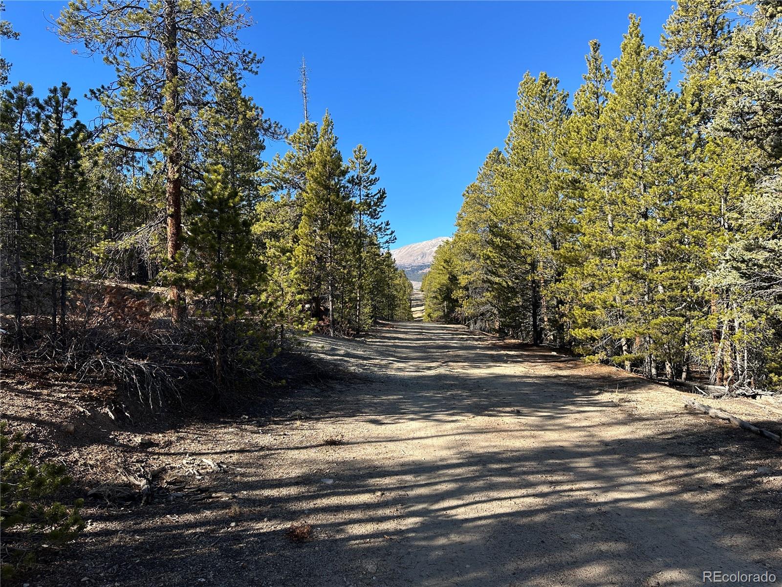 48 Lodgepole Drive Leadville CO 80461