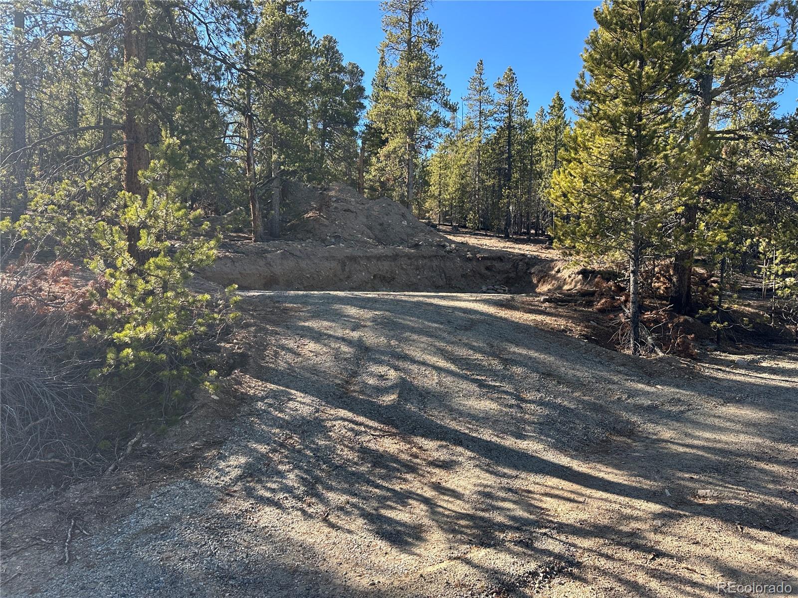 48 Lodgepole Drive Leadville CO 80461