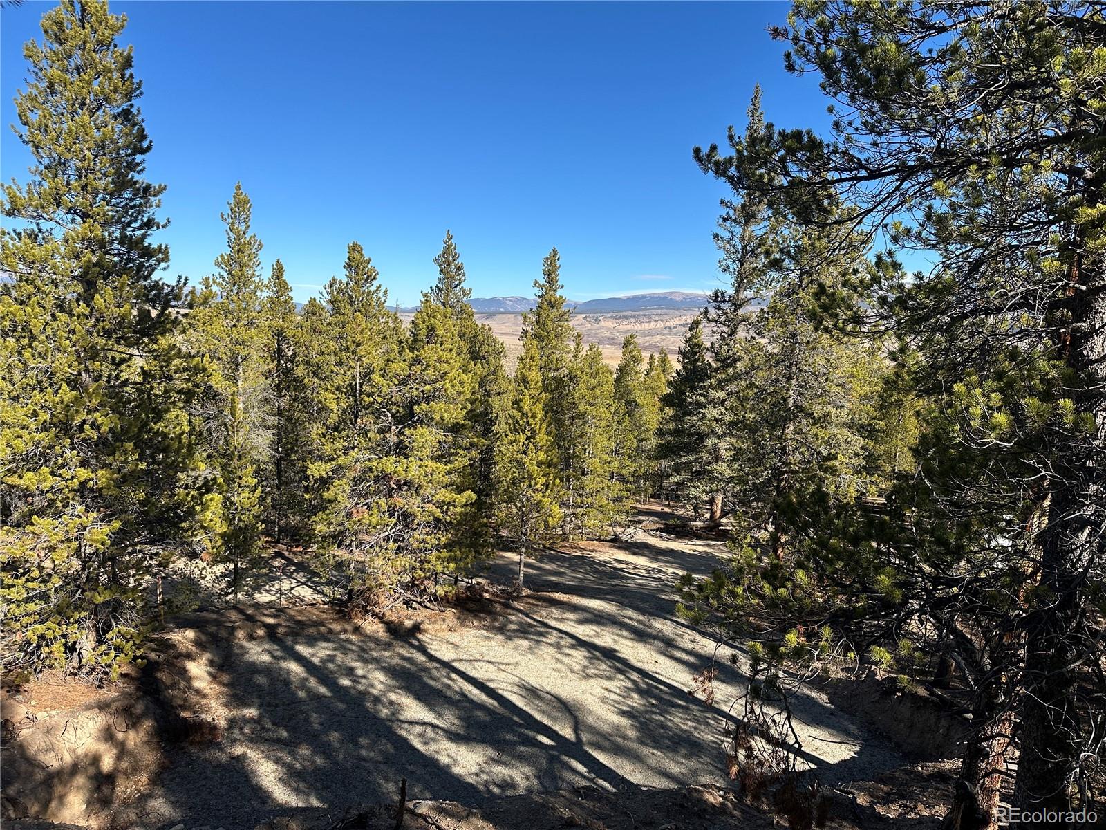 48 Lodgepole Drive Leadville CO 80461
