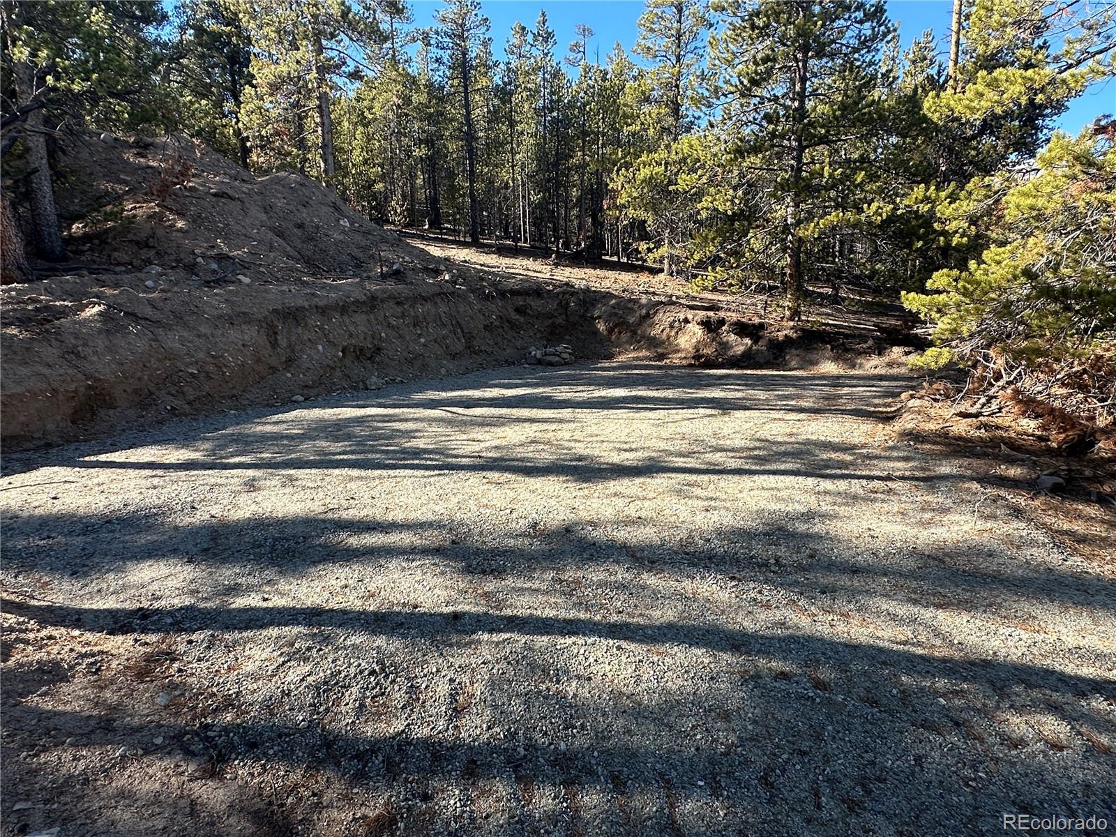 48 Lodgepole Drive Leadville CO 80461