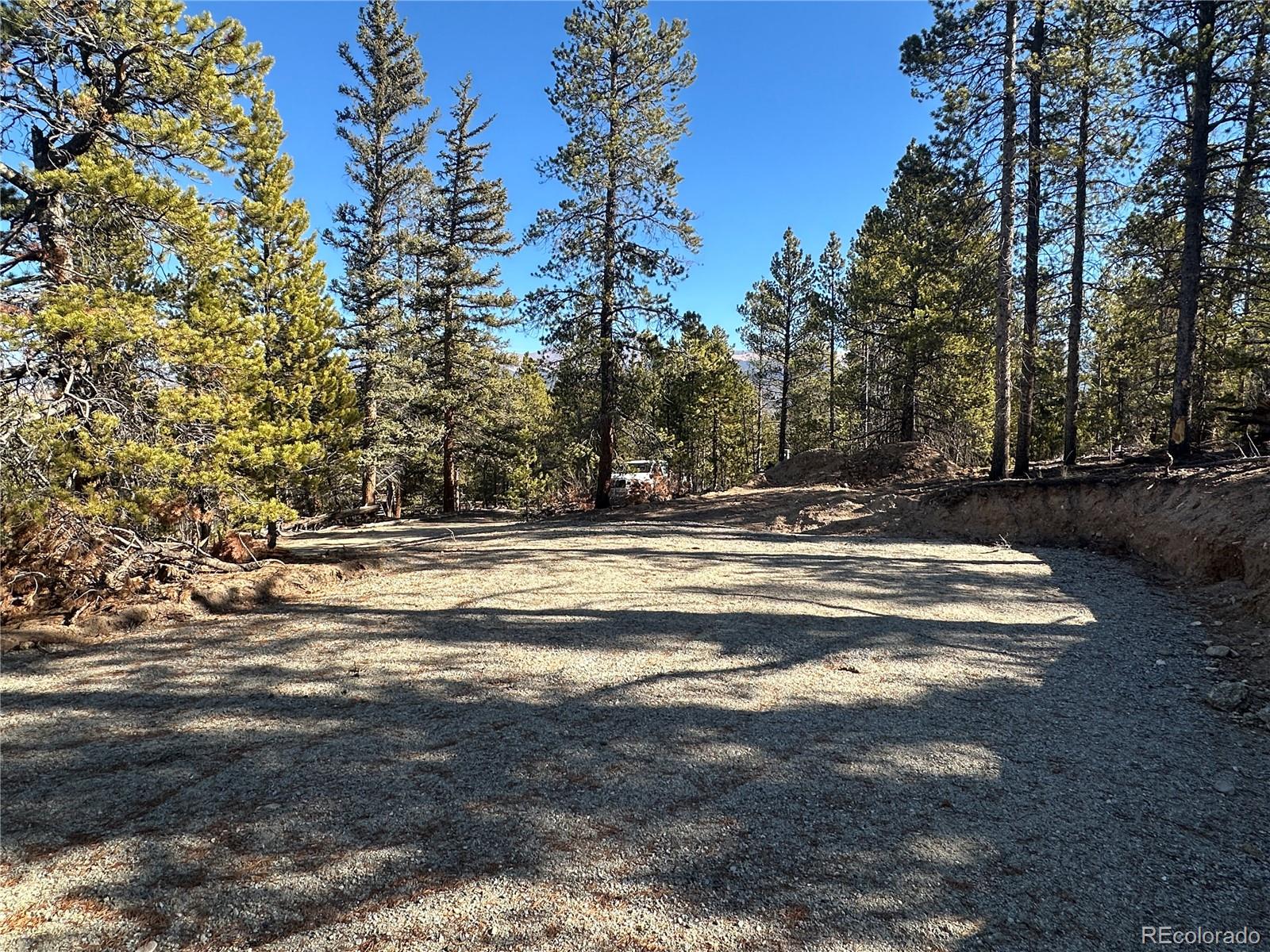 48 Lodgepole Drive Leadville CO 80461