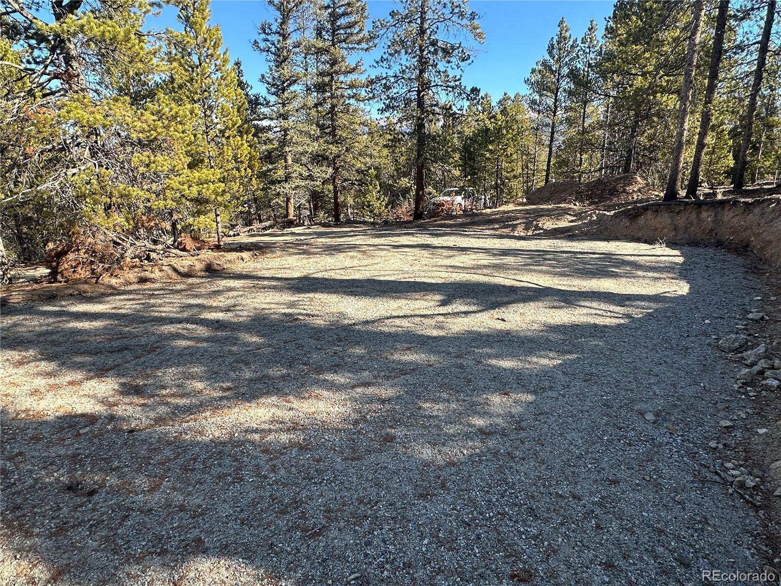 48 Lodgepole Drive Leadville CO 80461
