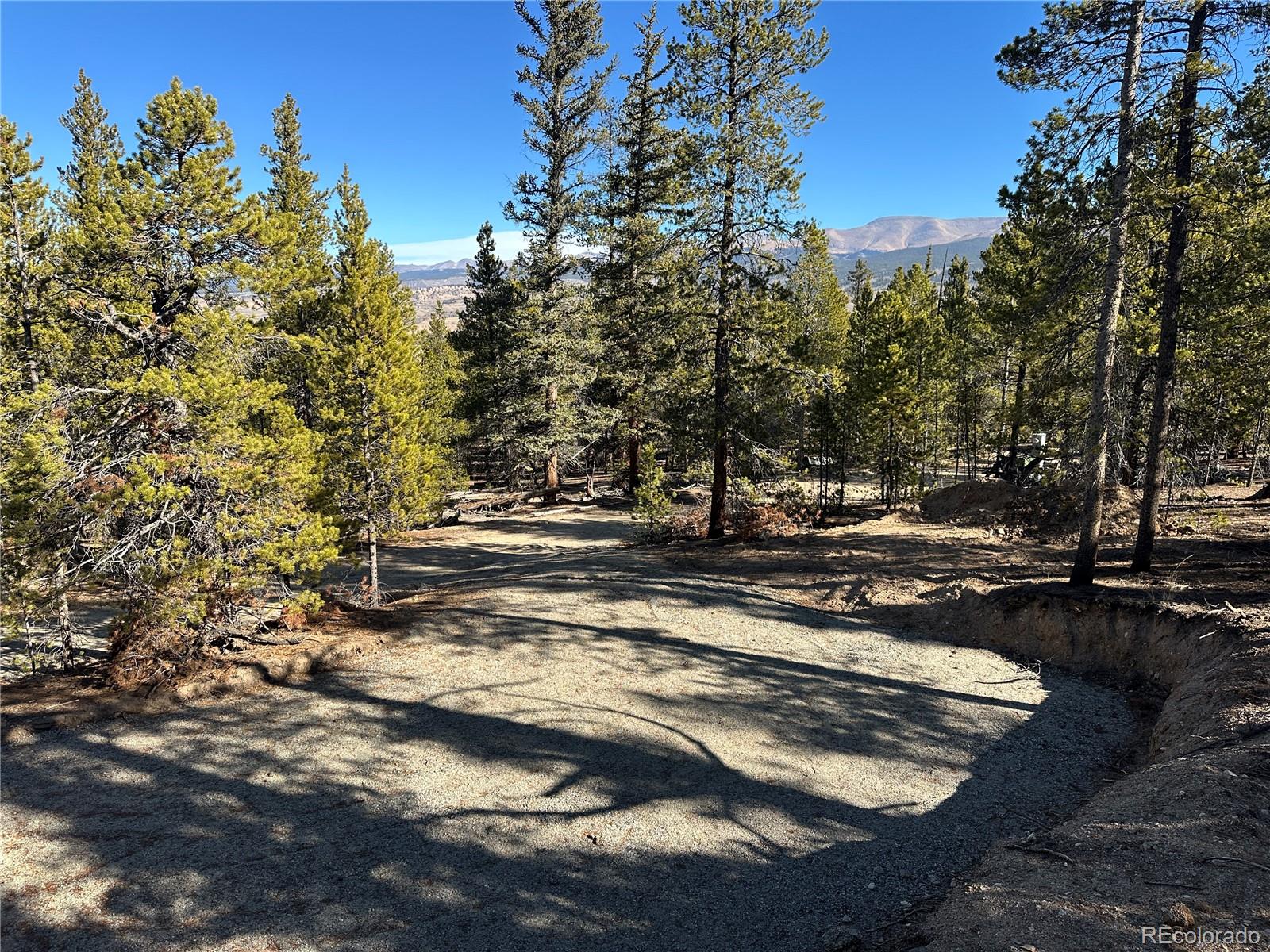 48 Lodgepole Drive Leadville CO 80461