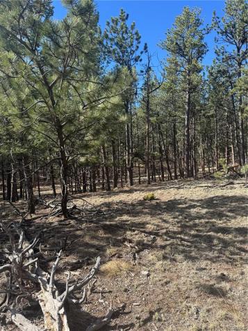 642 Matterhorn Drive Florissant CO 80816