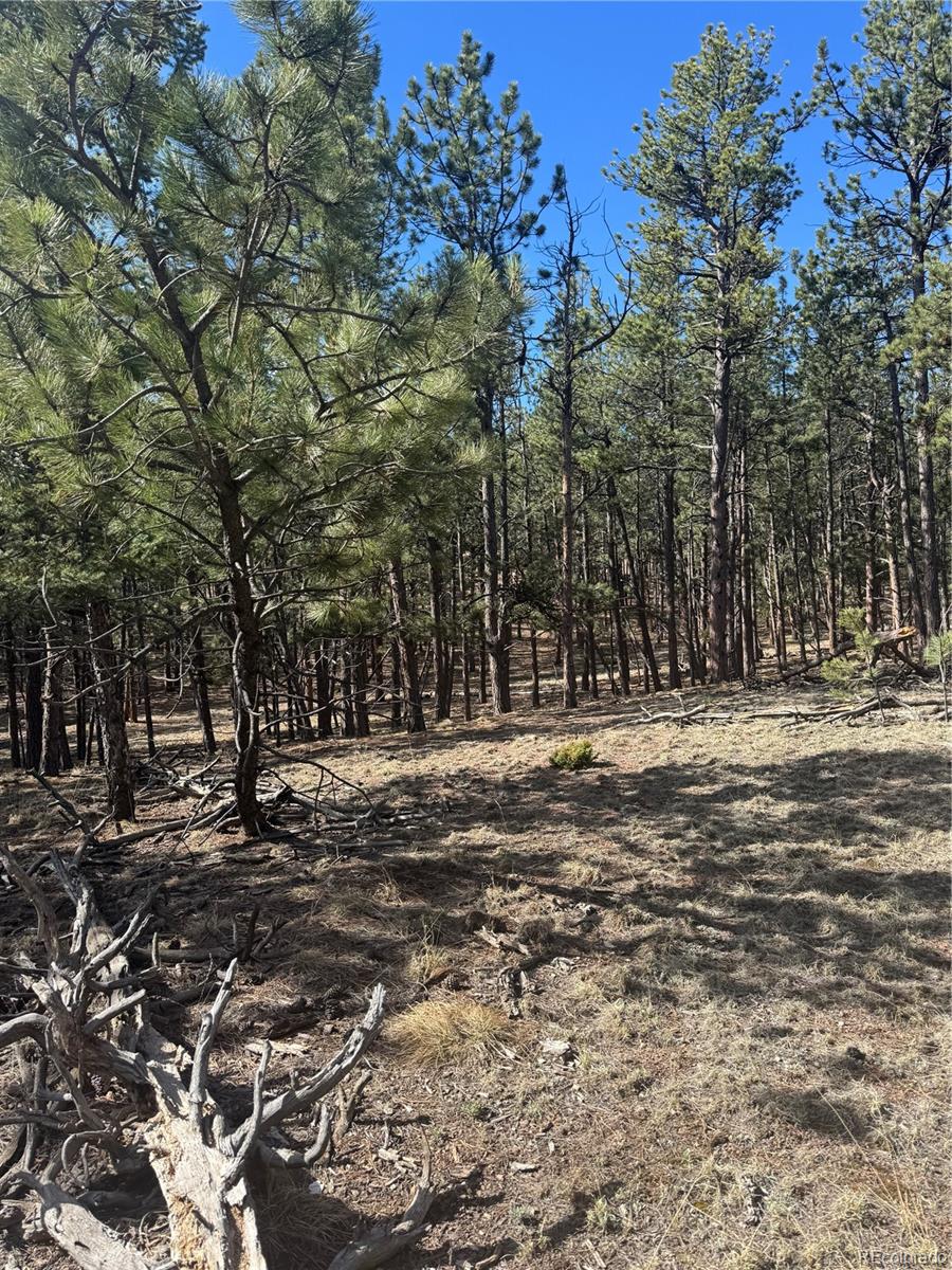 642 Matterhorn Drive Florissant CO 80816