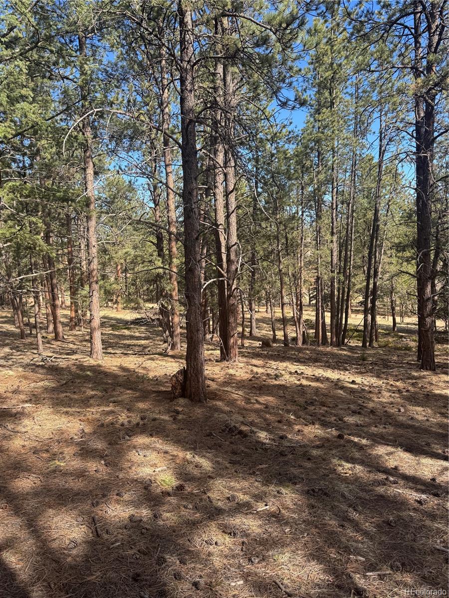 642 Matterhorn Drive Florissant CO 80816