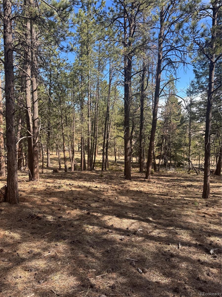 642 Matterhorn Drive Florissant CO 80816