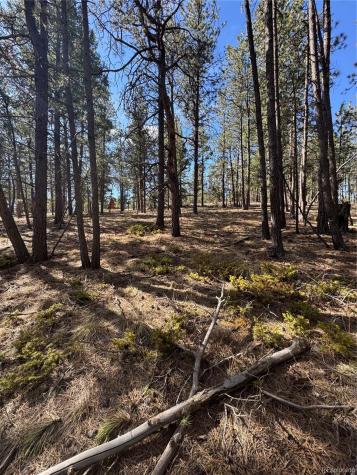642 Matterhorn Drive Florissant CO 80816