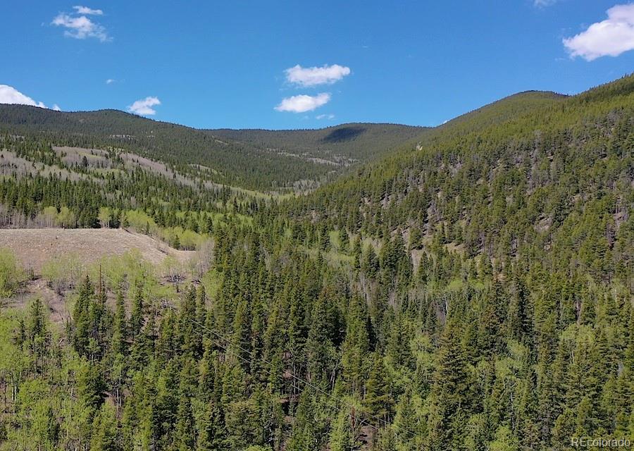 000 Forest Service Idaho Springs CO 80425