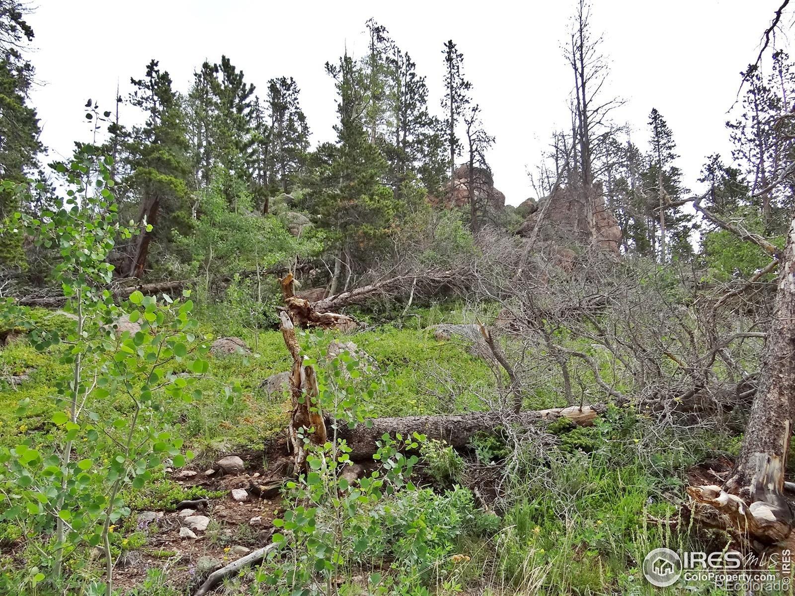 1683 Osage Trail Red Feather Lakes CO 80545