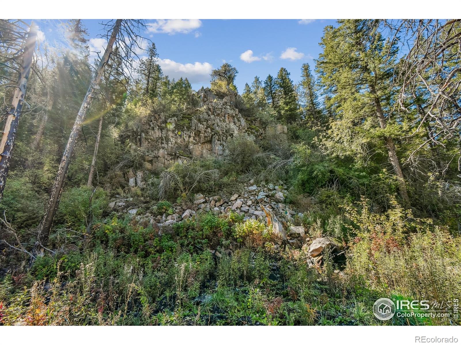 511 Riverside Drive Lyons CO 80540