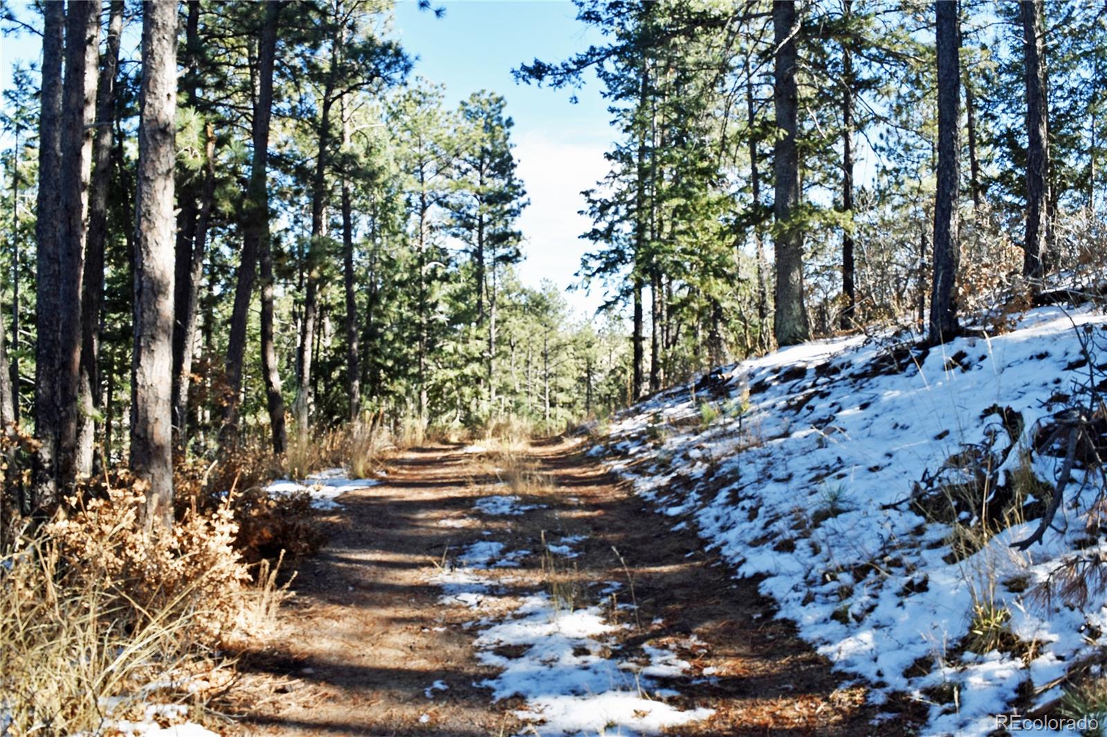 12778 Greenland Acres Road Larkspur CO 80118