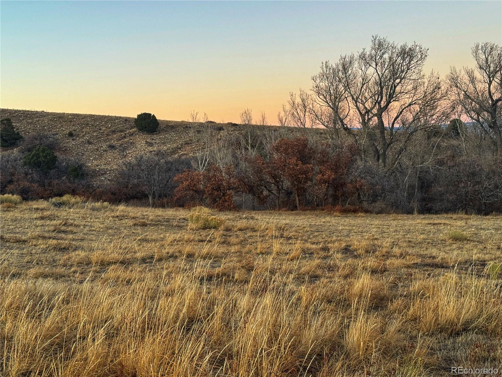 168 Colorado Land And Grazing Gardner CO 81040