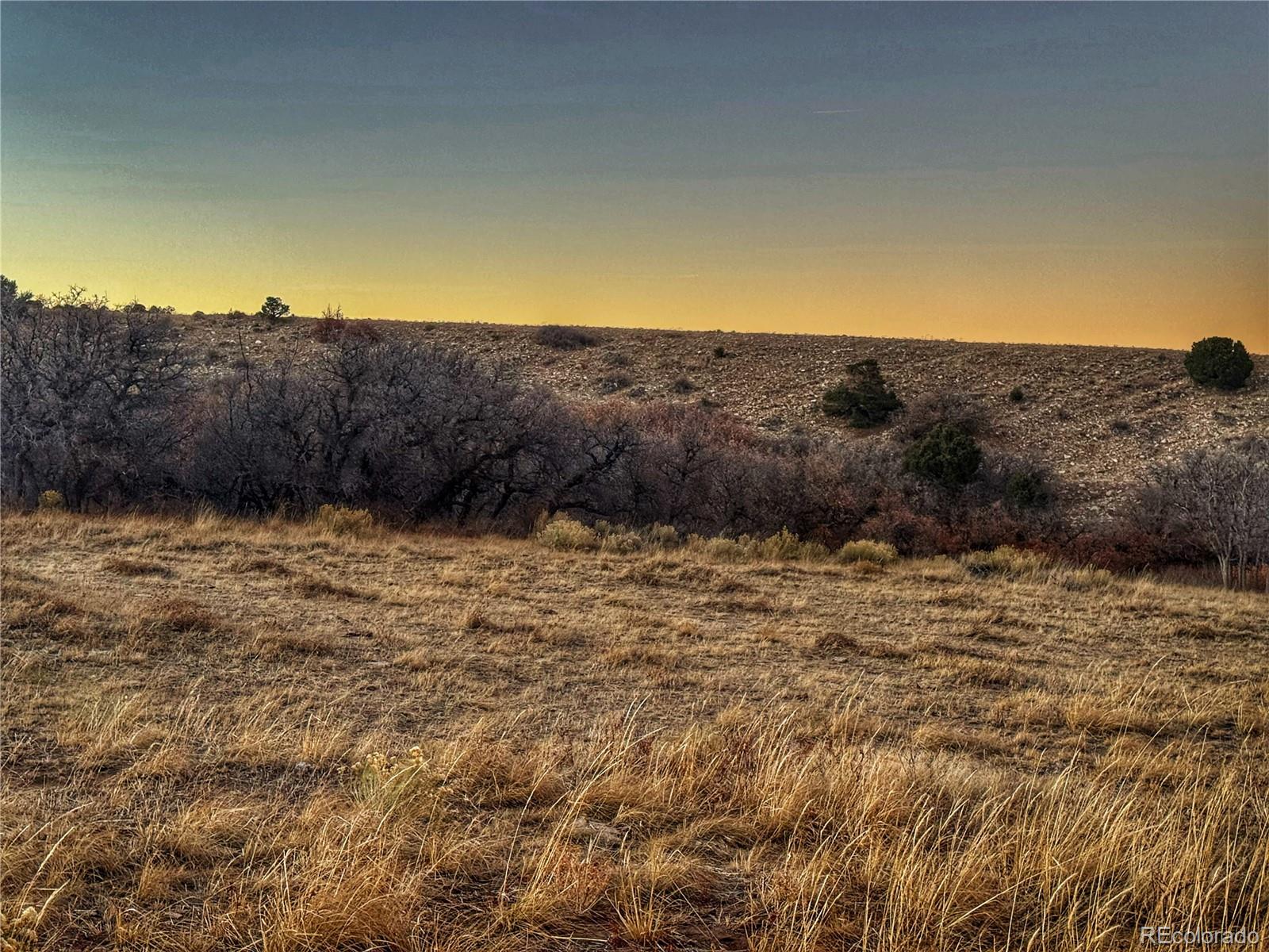 168 Colorado Land And Grazing Gardner CO 81040