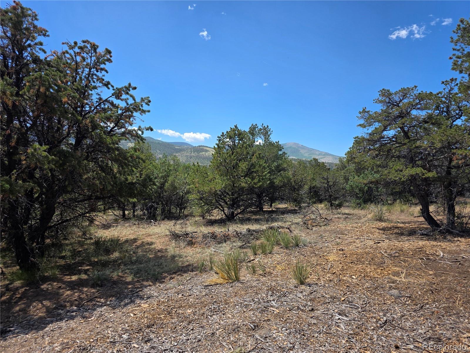 163 Loveland Pass Road South Fork CO 81154