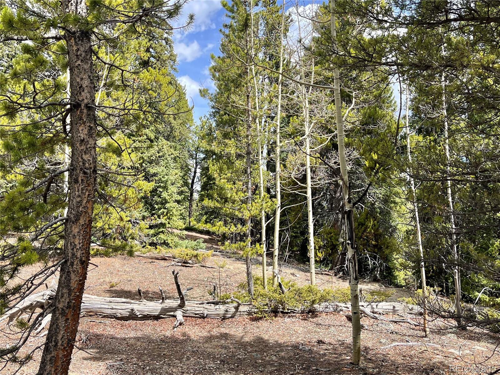 2203 Lakeside Drive Fairplay CO 80440