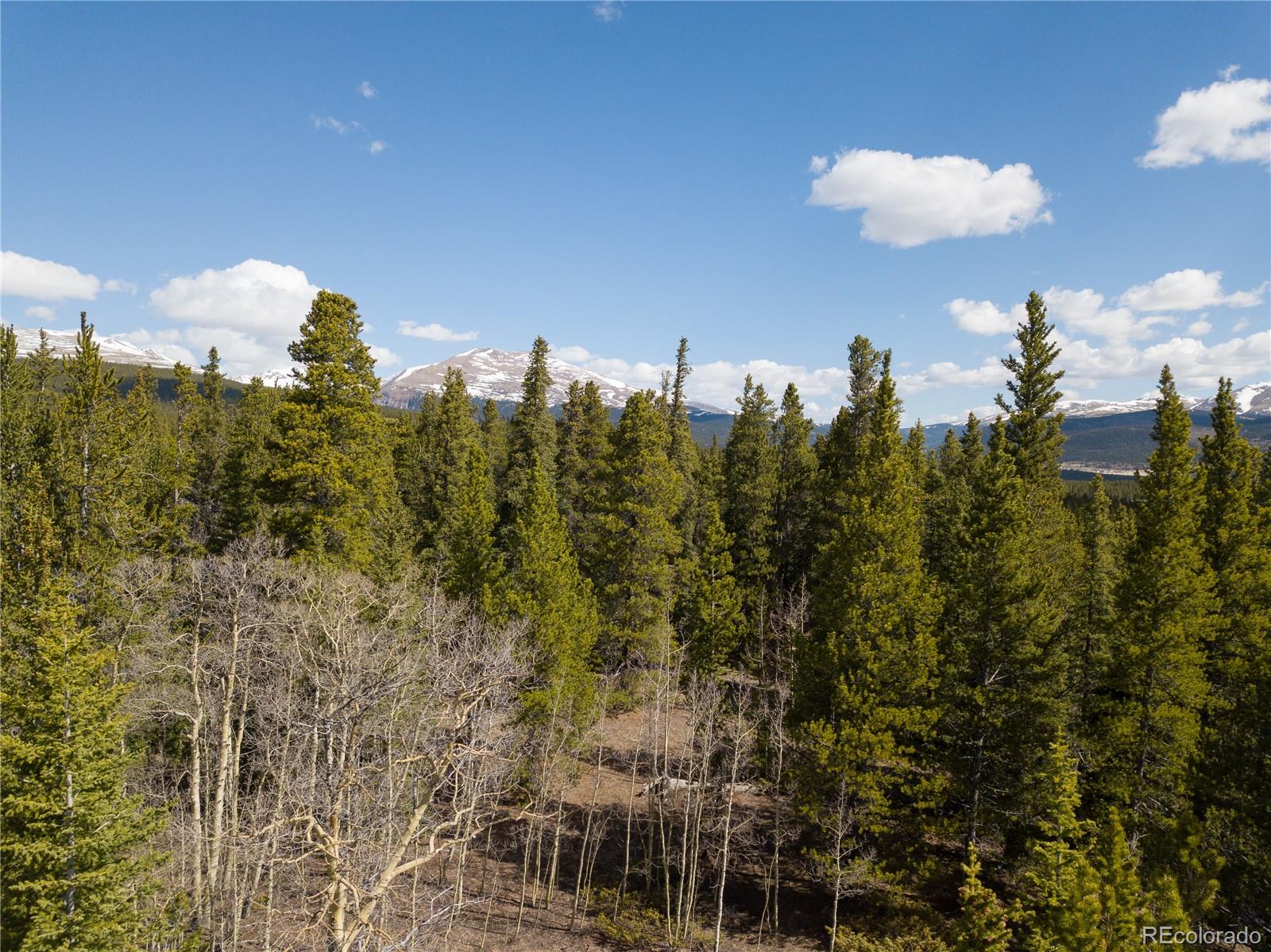 2203 Lakeside Drive Fairplay CO 80440