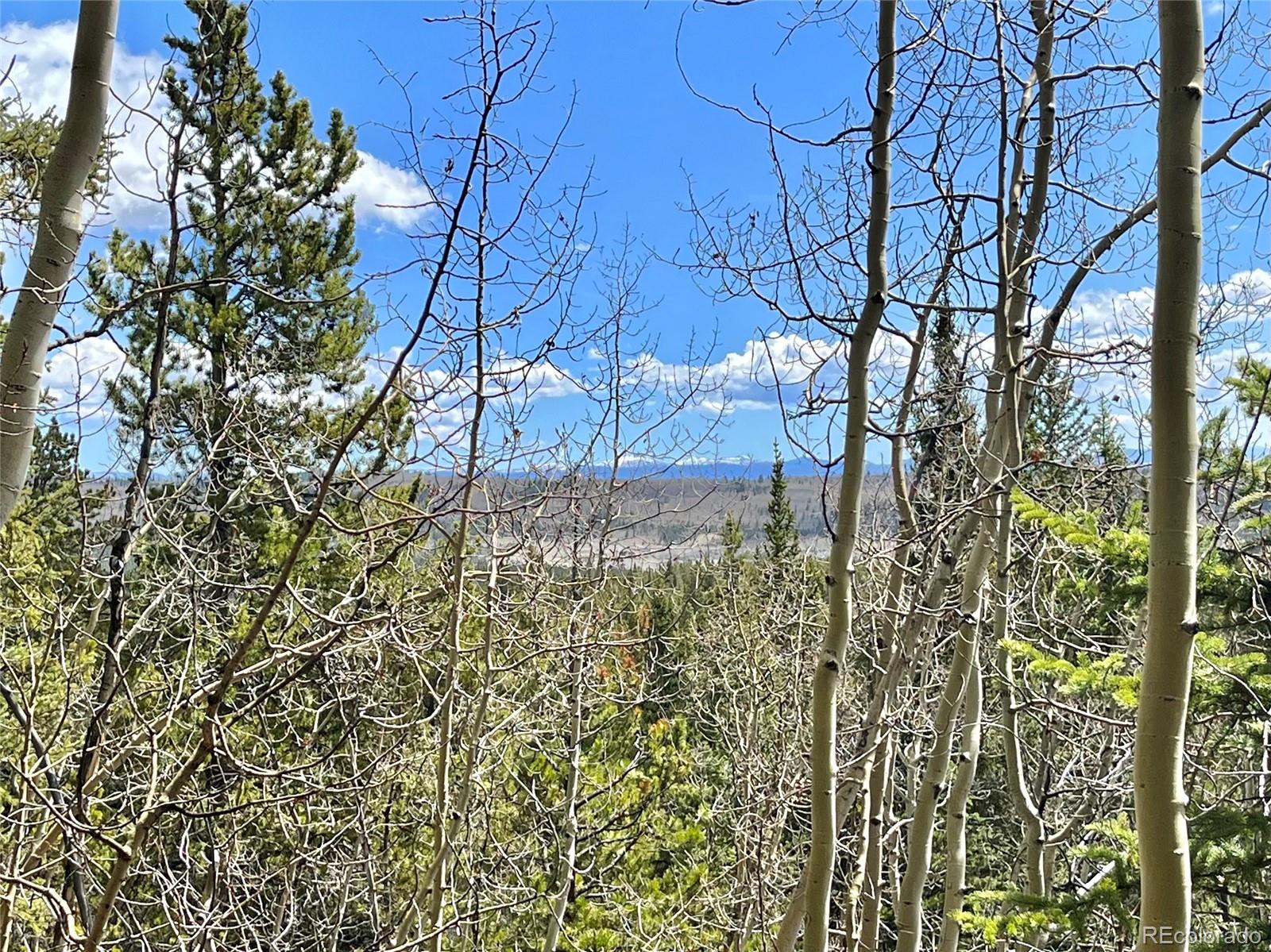 2203 Lakeside Drive Fairplay CO 80440
