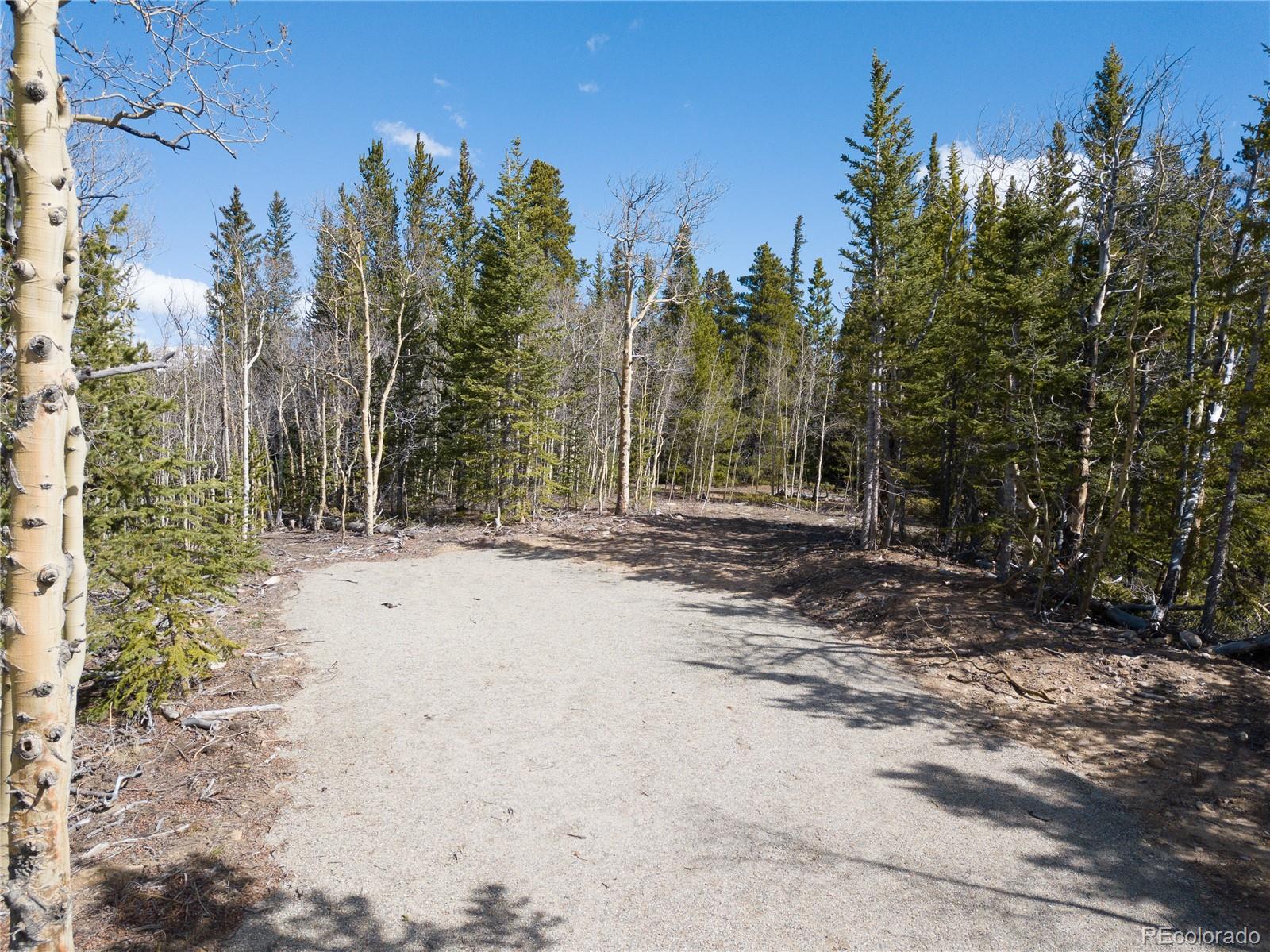 2203 Lakeside Drive Fairplay CO 80440