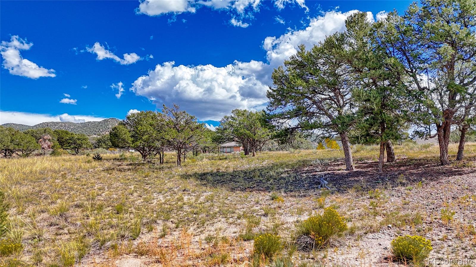 000 Piute Drive Salida CO 81201