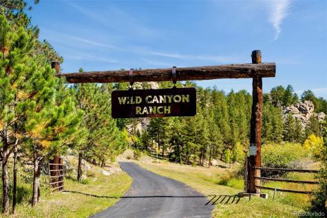 37392 County Road 77 Lake George CO 80827