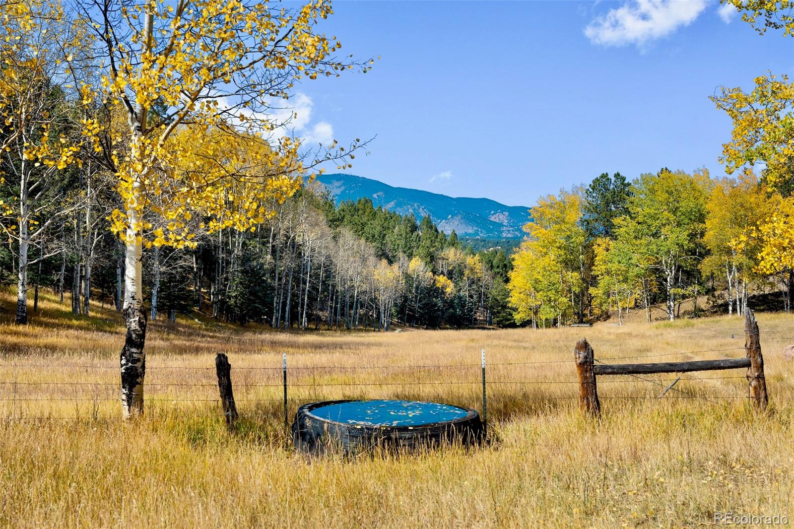 37392 County Road 77 Lake George CO 80827