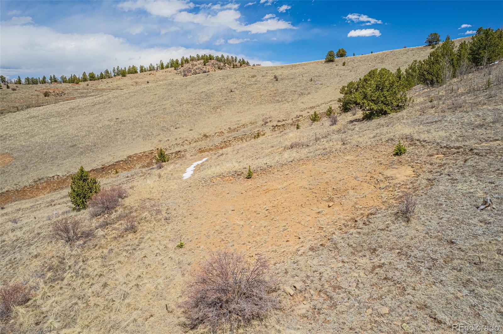 1538 County Road 1 Cripple Creek CO 80813