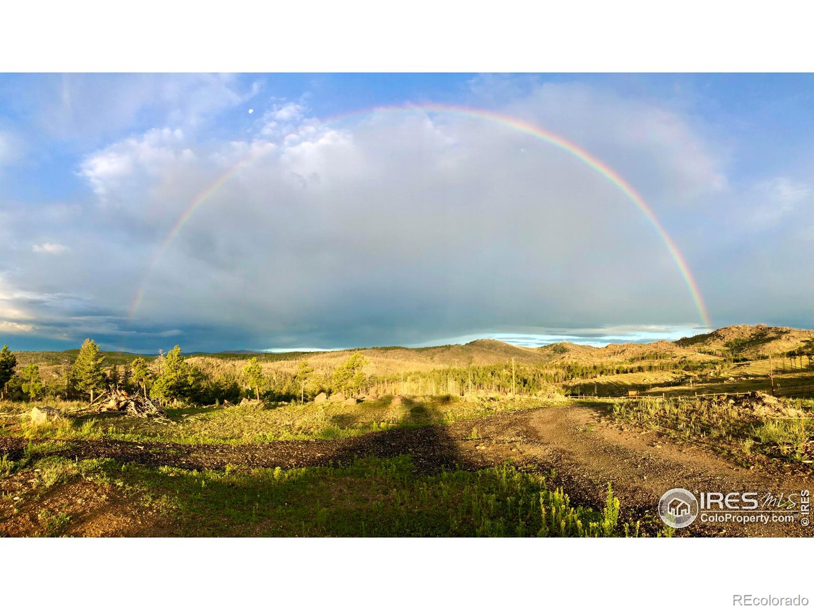 3235 Davis Ranch Road Bellvue CO 80512