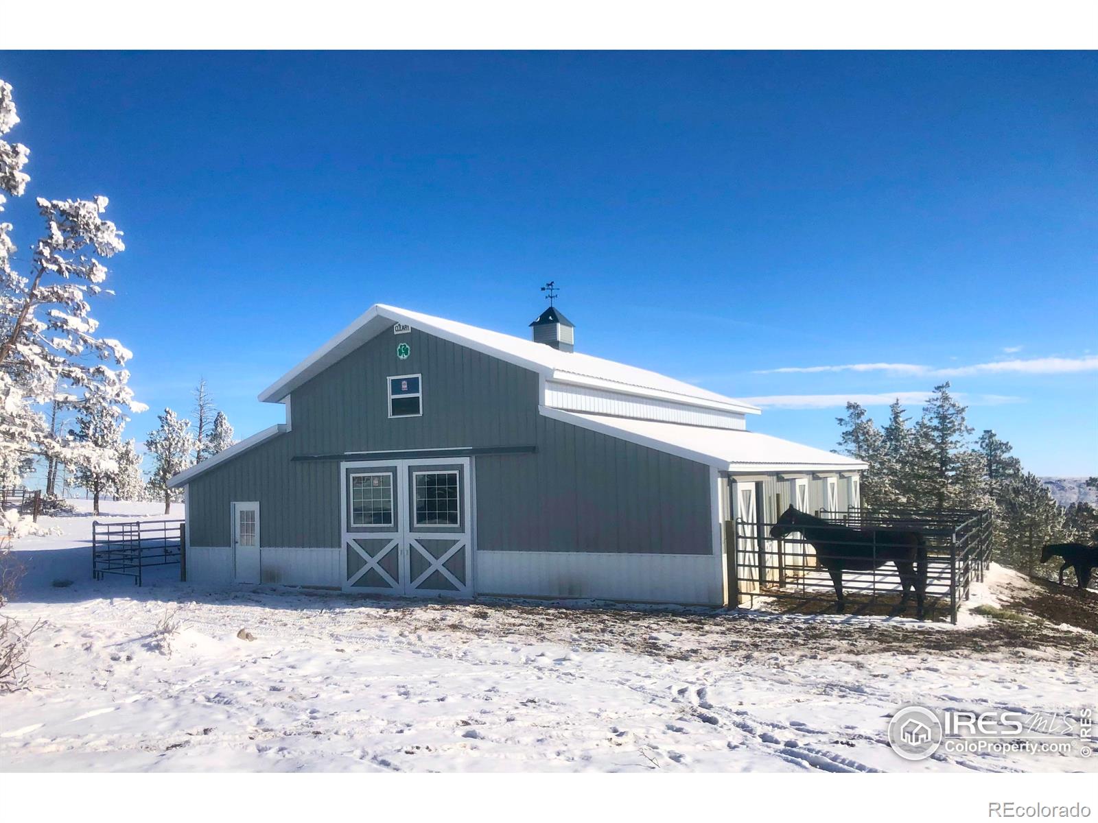 3235 Davis Ranch Road Bellvue CO 80512